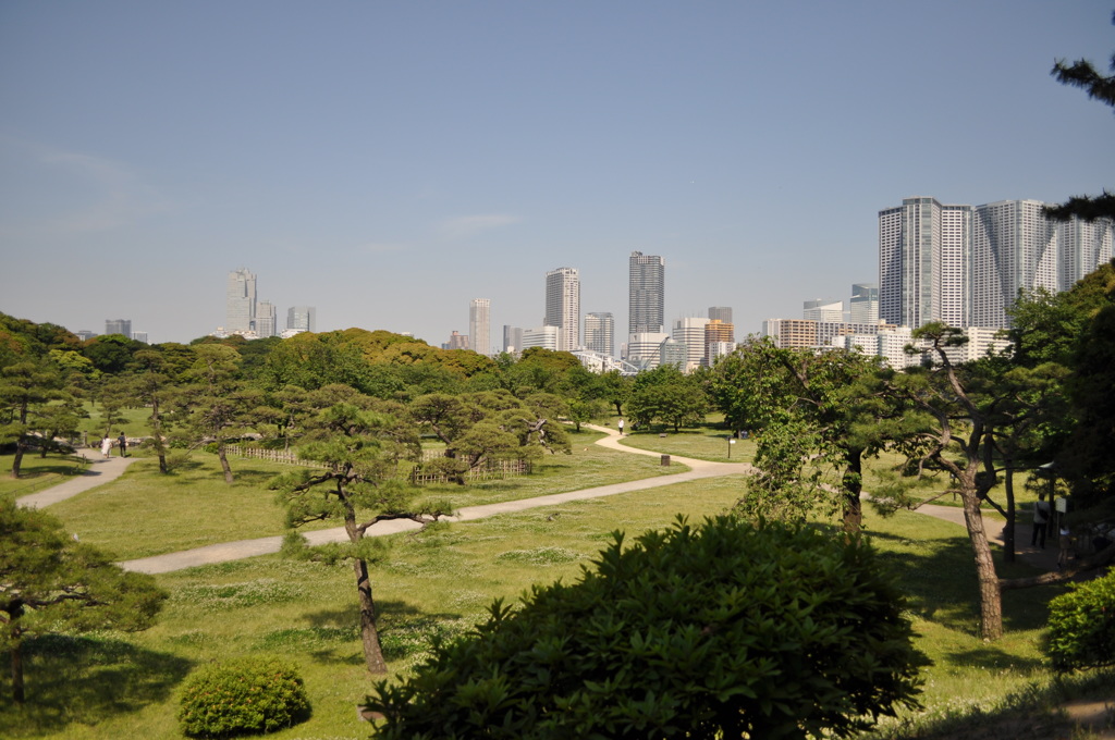 201705_浜離宮0156