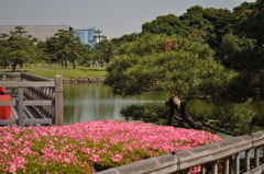 201705_浜離宮0136