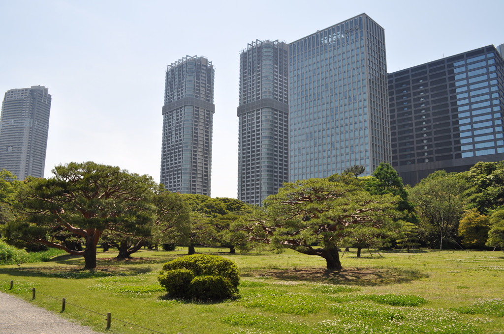 201705_浜離宮0108