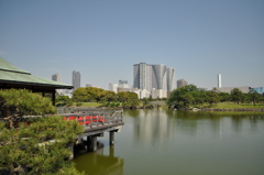 201705_浜離宮0140