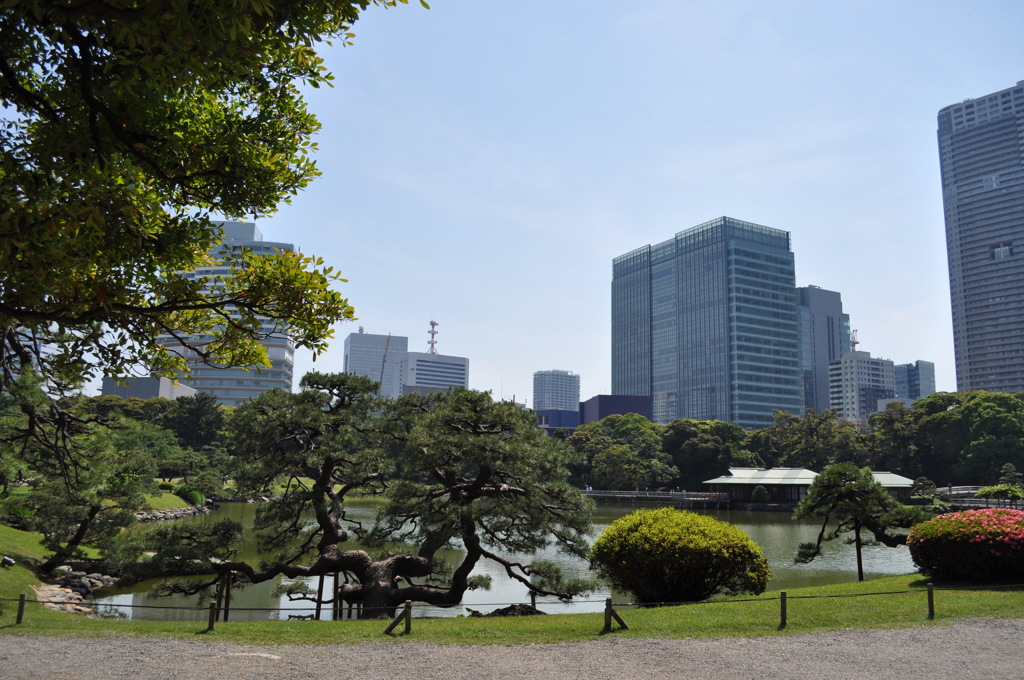 201705_浜離宮0121