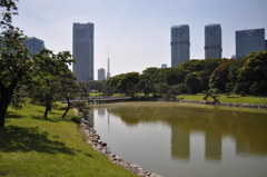 201705_浜離宮0167