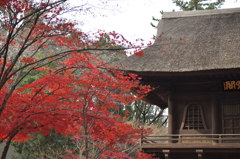 201612_平林寺_0278