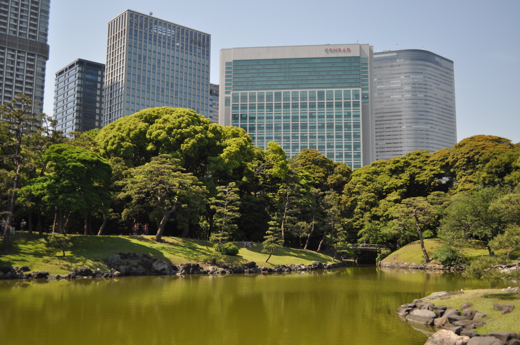 201705_浜離宮0132