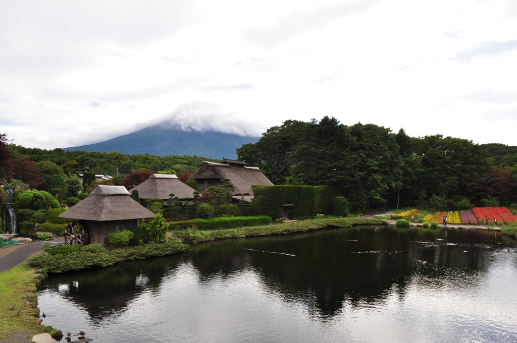 20180816_榛の木林資料館_DSC_0116