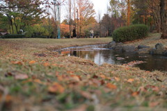 彩の森公園