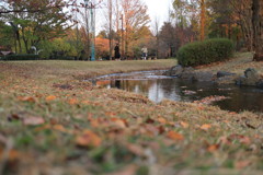 彩の森公園