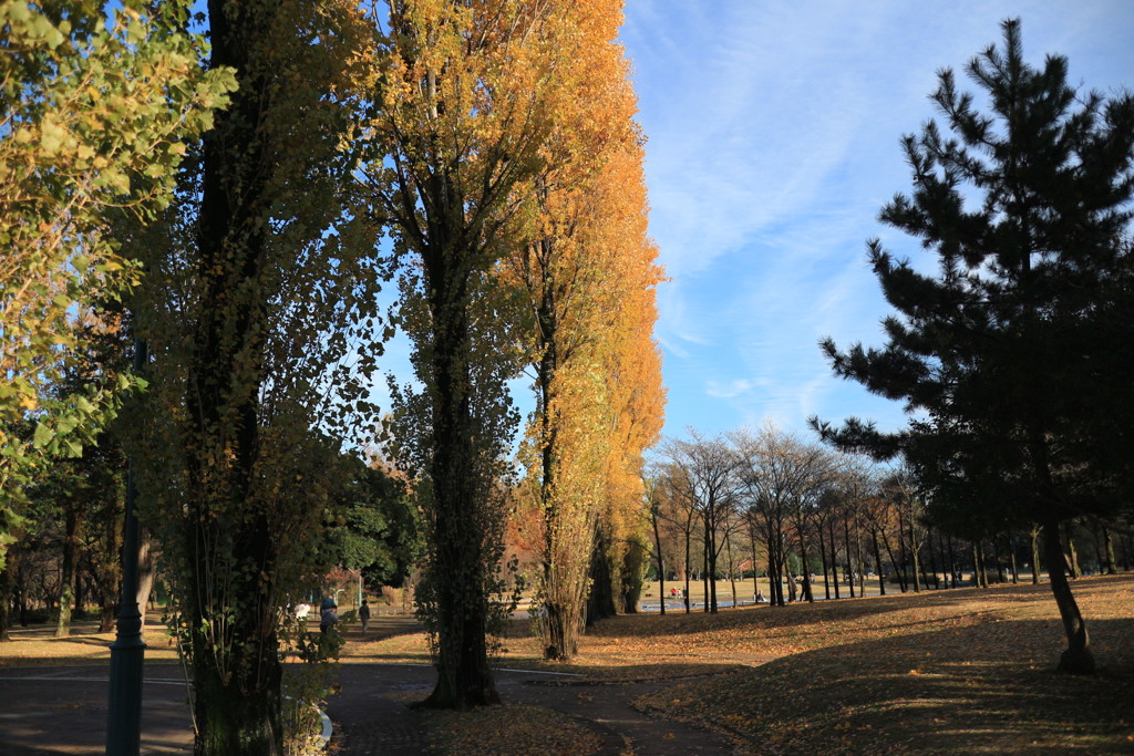 彩の森公園