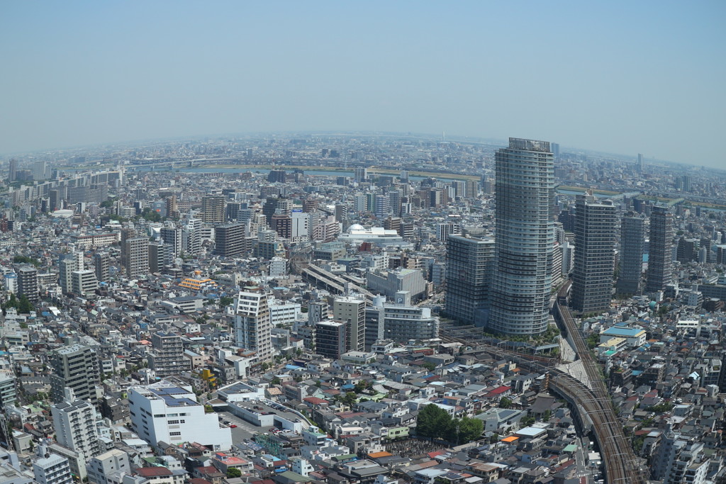 30階からの景色