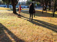 秋の散歩