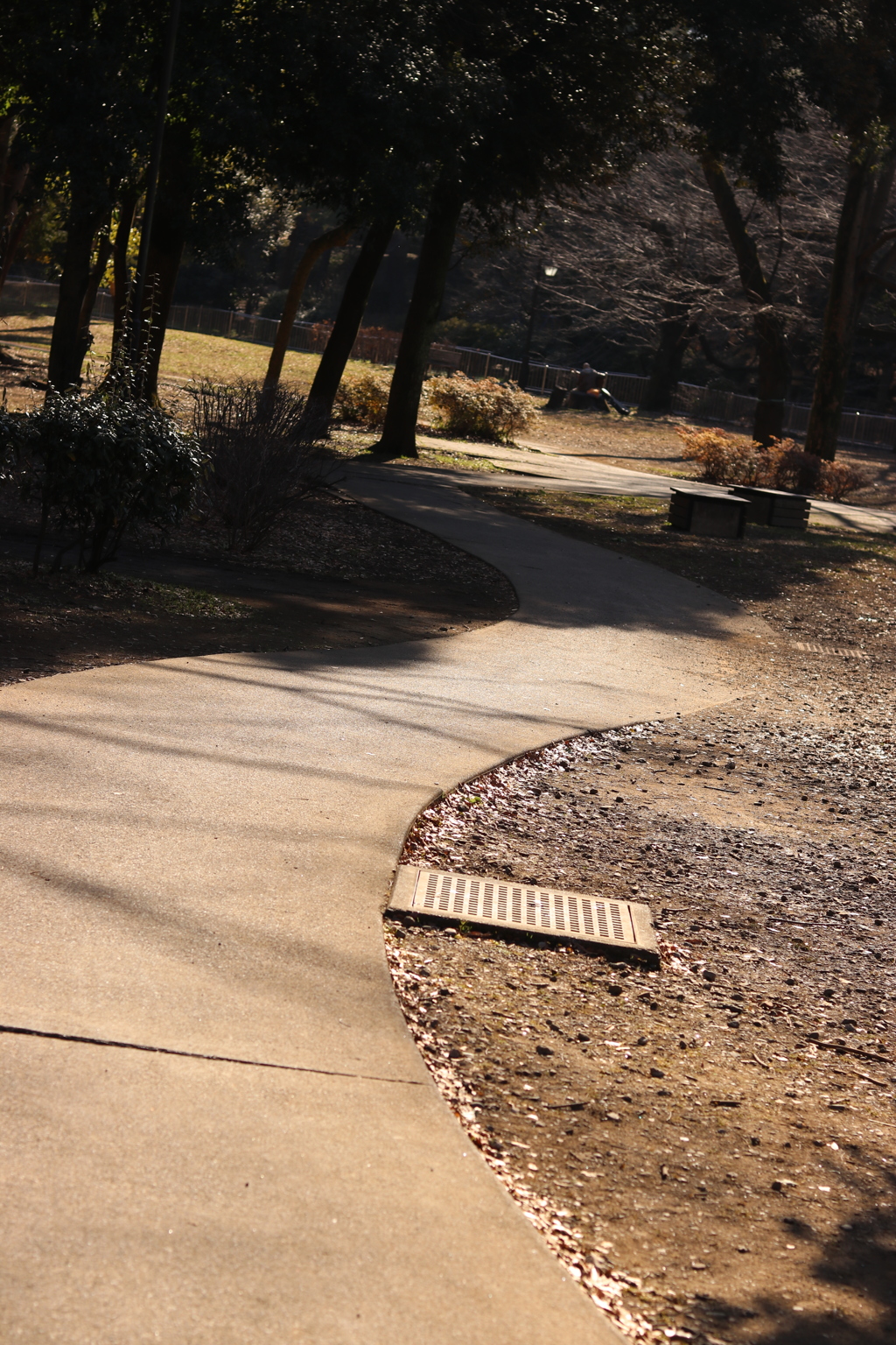曲がりくねった路
