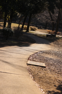 曲がりくねった路