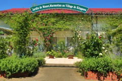 マルモッタン　薔薇庭園