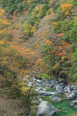 滋賀県高島市朽木