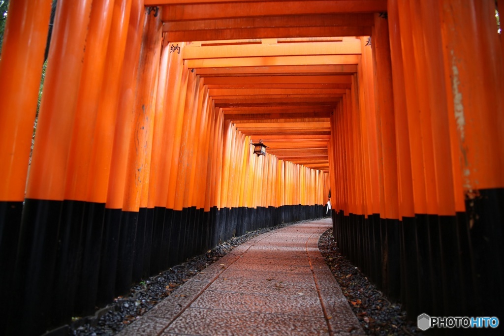 千本鳥居ー２