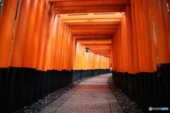 千本鳥居ー２