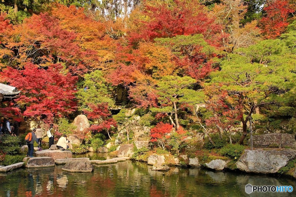 百済寺　庭園