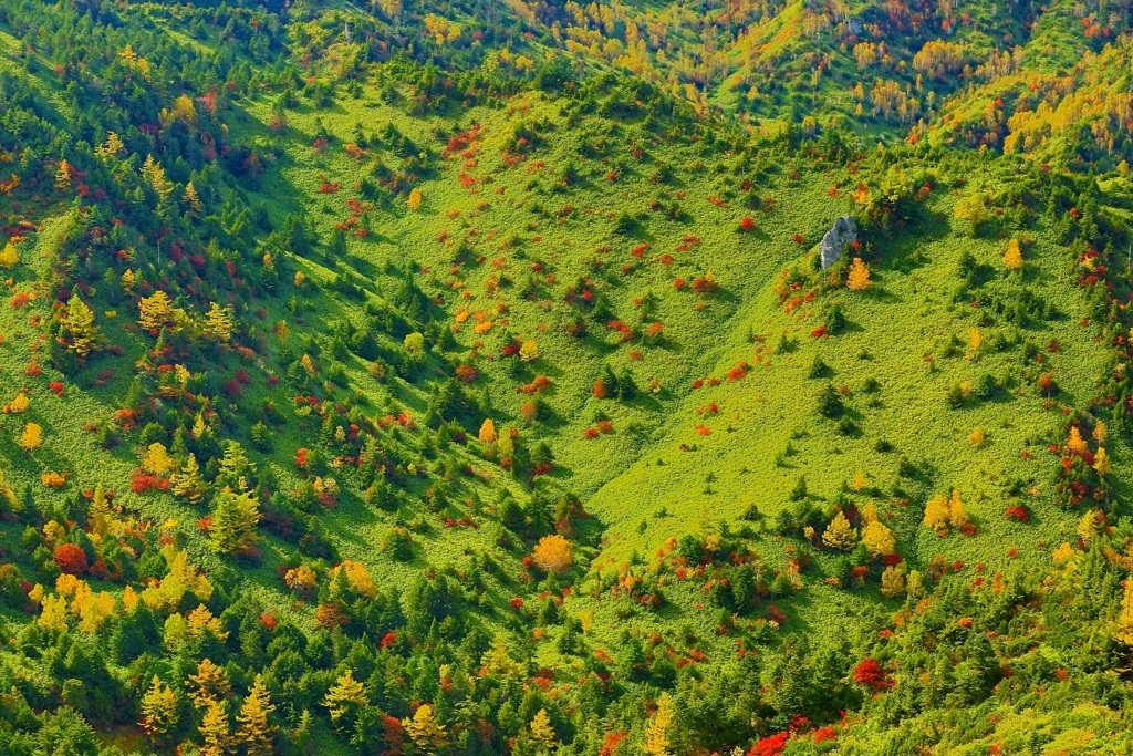 志賀高原の朝―２