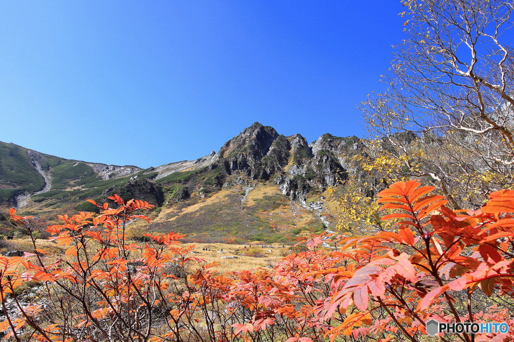 紅葉と快晴