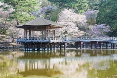 奈良公園　浮御堂