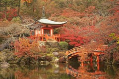 醍醐寺の紅葉