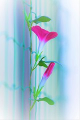 遅ればせながら
