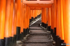 千本鳥居ー１