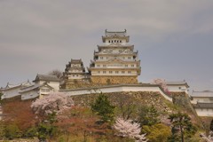 春の姫路城