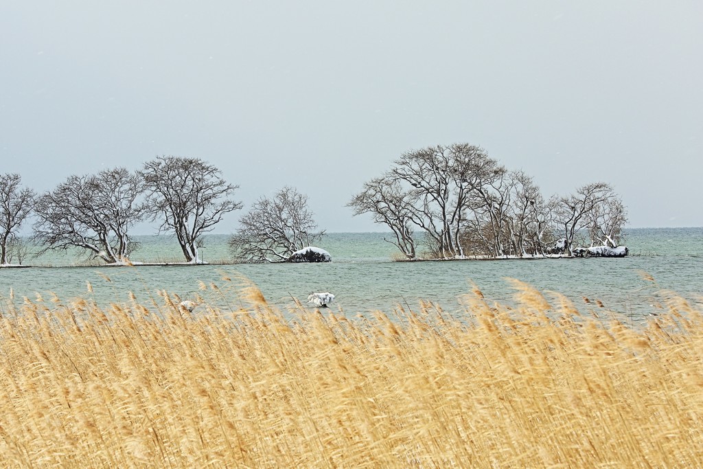 湖北ー１