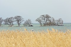 湖北ー１