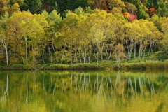 木戸池の紅葉
