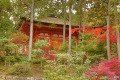 石山寺ー４