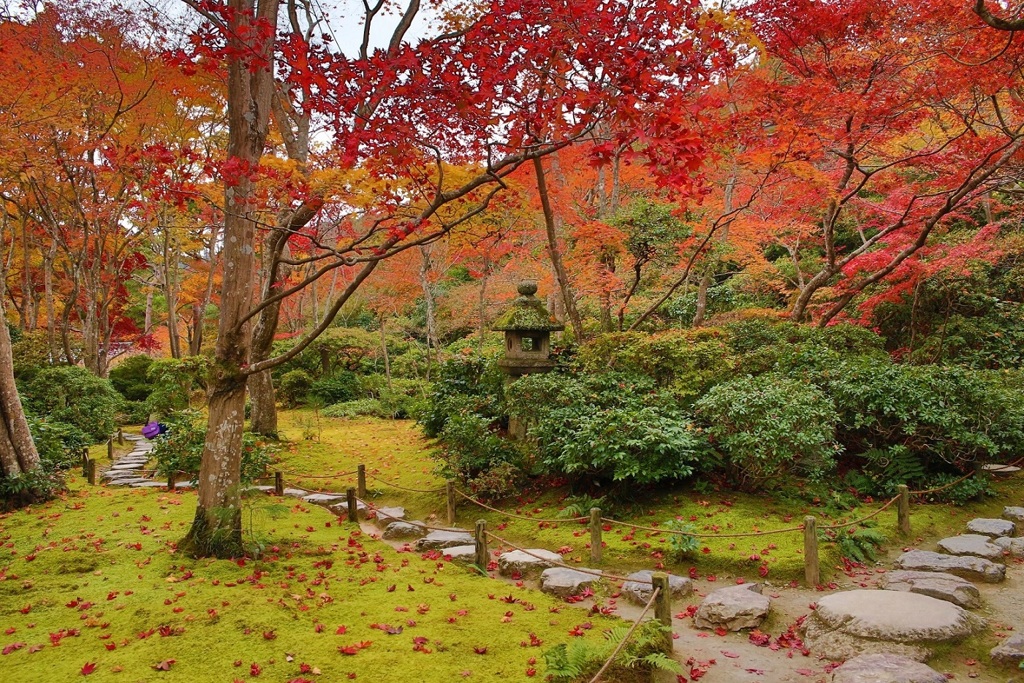 大河内山荘　庭園