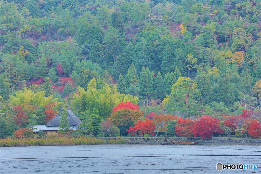 広沢池ー２