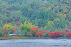 広沢池ー２