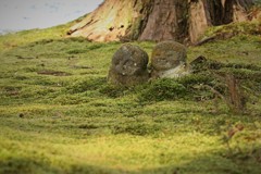 わらべ地蔵ー１
