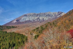 秋の大山