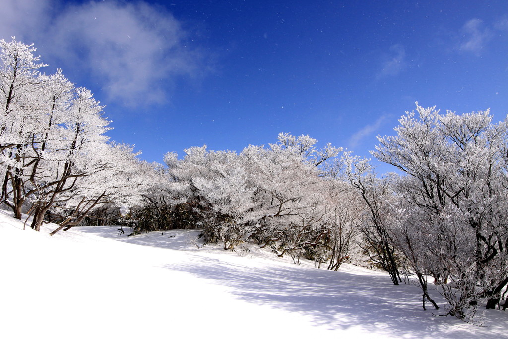 御在所山頂にて