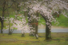 万博公園　何気ない風景