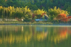 広沢池ー１