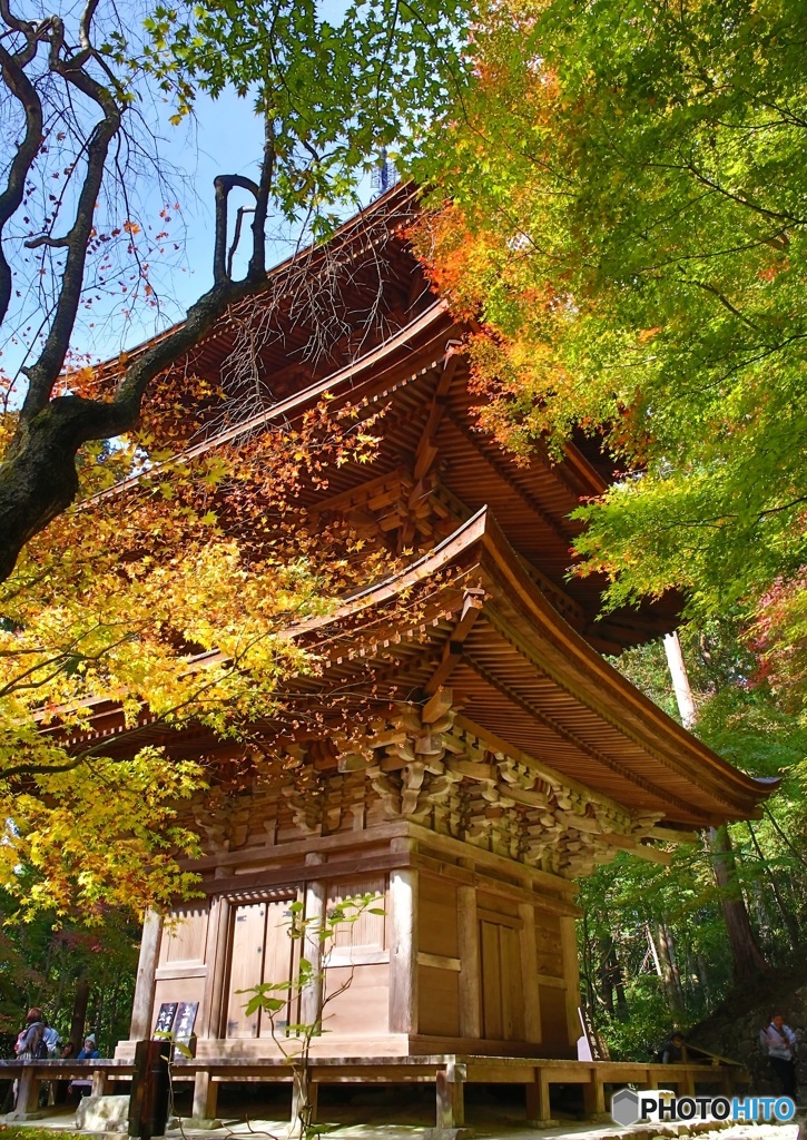 金剛輪寺　三重塔