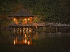 ライトアップされた浮御堂