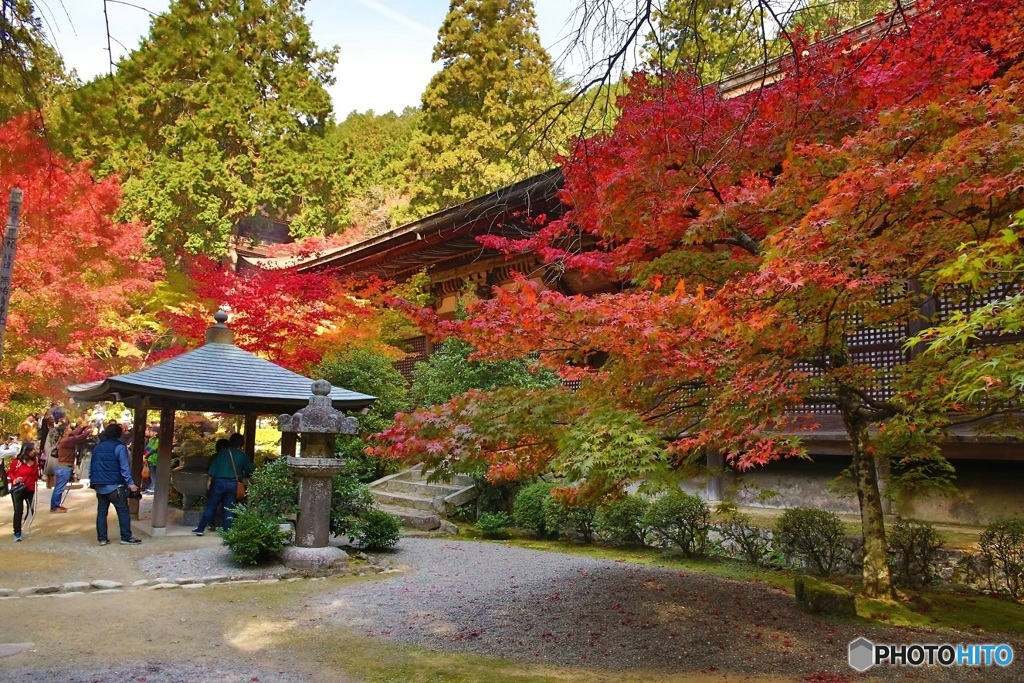 金剛輪寺　本堂