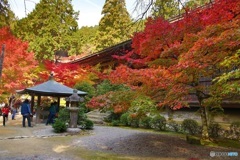 金剛輪寺　本堂