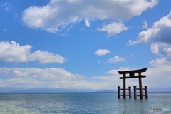 空