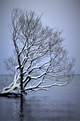 琵琶湖湖畔にてー２