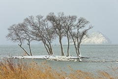 湖北ー４
