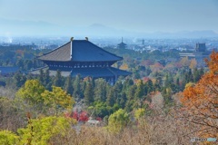 大仏殿と五重塔
