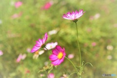 横顔が素敵