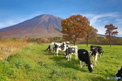 大山の秋